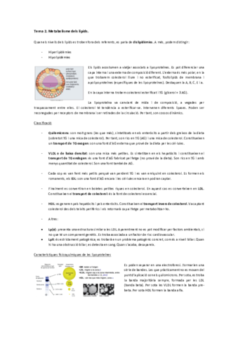 Tema 2. Metabolisme dels lípids. .pdf