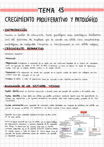 TEMA-15-ANATOMIA-PATOLOGICA.pdf