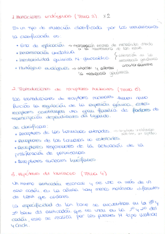 Preguntas_Examenes_Remix_LBDH.pdf