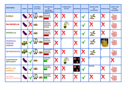 TABLA-CARACTERISTICAS-BACTERIAS.pdf