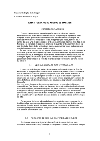 U.D.-3-Formato-de-archivos.pdf