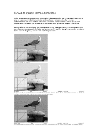 U.D.-4-Curvas-de-ajustes-2.pdf