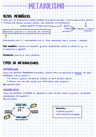 Metabolismo-1-Bach.pdf