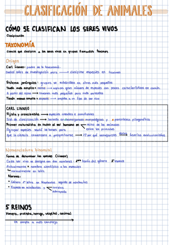 clasificacion-de-los-animales-1-Bach.pdf