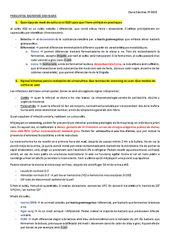 PREGUNTAS-EXAMENES-SEMINARIS.pdf