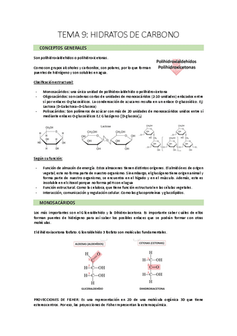 TEMA-9.pdf