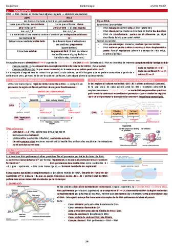 3.2-transcripcio.pdf
