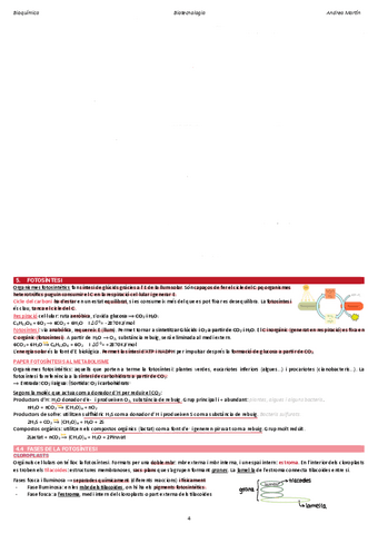 2.5-fotosintesis.pdf