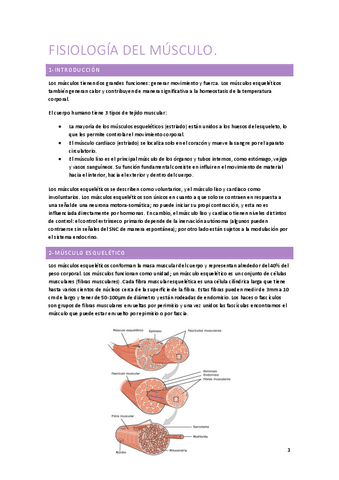 3-FISIOLOGIA-DEL-MUSCULO.pdf