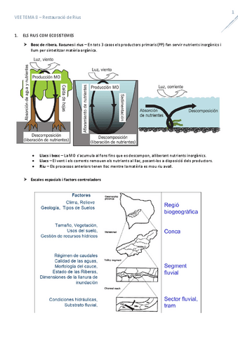 T8RestauracioRius.pdf
