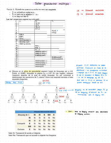 Taller-granularitat-Multiple-RESOLT.pdf