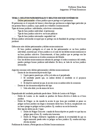 Do-Penal-Economico.pdf