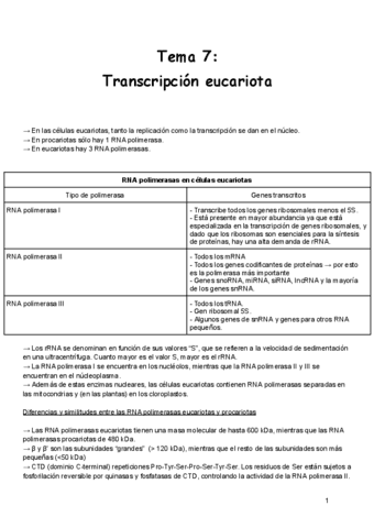 Tema-7-Transcripcion-eucariota.pdf