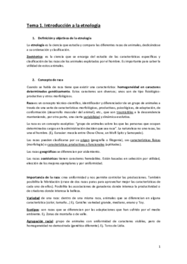 Apuntes.pdf