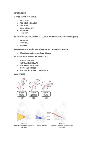 APUNTES-Y-EXAMENES-BIOMECANICA.pdf