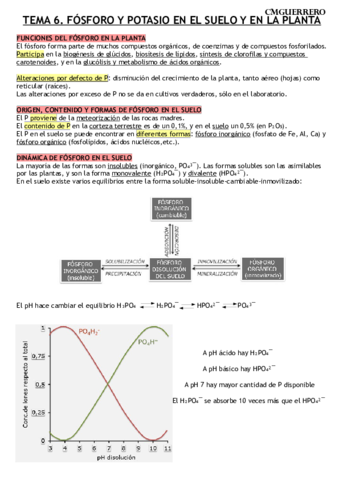 TEMA 6 AGRÍCOLA.pdf