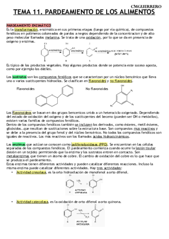 TEMA 11 AGROALIMENTARIA.pdf