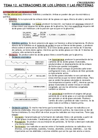 TEMA 12 AGROALIMENTARIA.pdf
