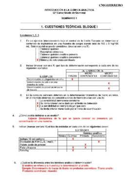 SEMINARIO TEÓRICO 1 RESUELTO.pdf
