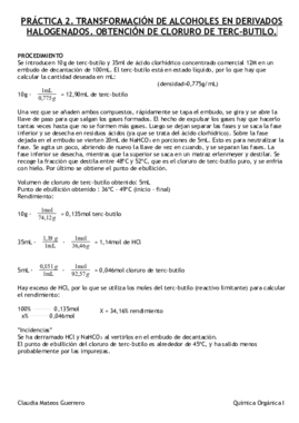 Práctica 2 orgánica.pdf