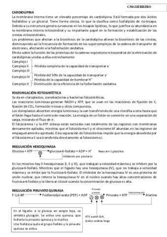 APUNTES_BIOQUÍMICA.pdf