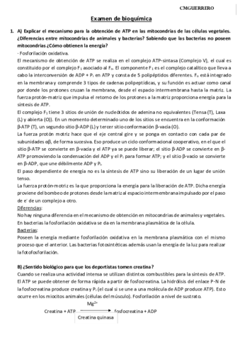 EXAMEN BIOQUÍMICA 2017 RESUELTO.pdf