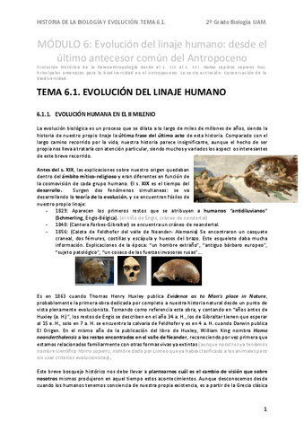 HBEApT6.1.-evolucion-del-linaje-humano.pdf