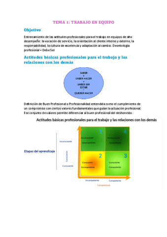 Tema-1-Trabajo-en-equipo.pdf
