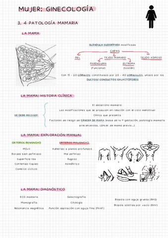 3.-4-PATOLOGIA-MAMARIA.pdf