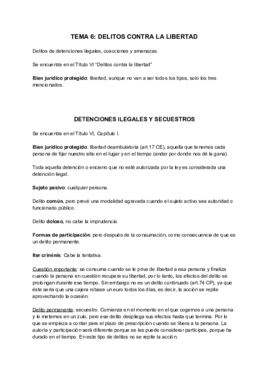Tema 6. Delitos contra la Libertad.pdf