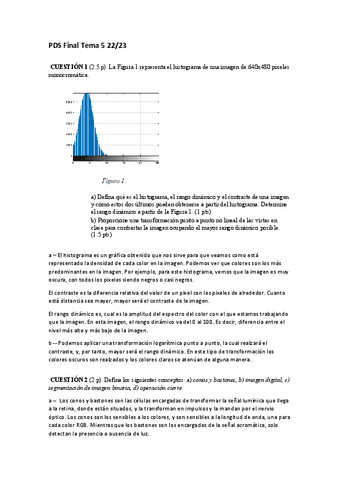 PDS-Final-Tema-5-22.pdf