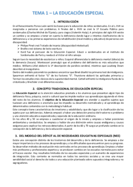 Bases de atención a la diversidad.pdf