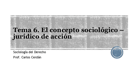 Tema-6-Concepto-Sociologico-Juridico-de-Accion.pdf