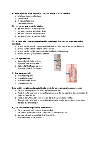 EXAMEN-ANATO-2.pdf