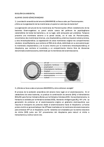 Tarea-ANAMMOX.pdf