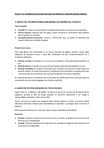 TEMA-5-Y-6-RAQUETA.pdf