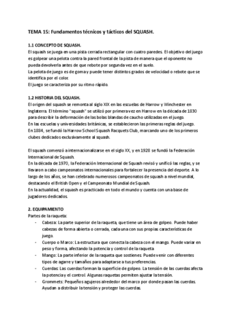 TEMA-15-RAQUETA.pdf