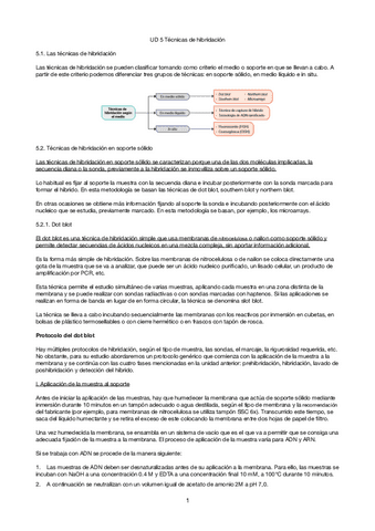 Tema-5-tecnicas-de-hibridacion.pdf
