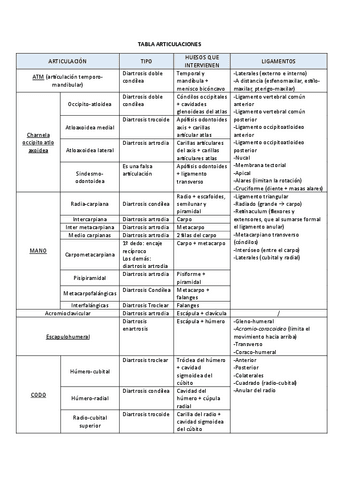 Apuntes-articulaciones.pdf