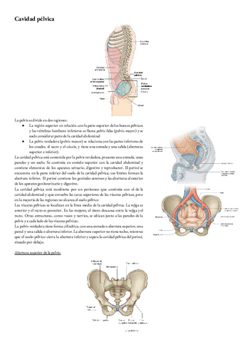 Anatomia-T-15-Cavidad-pelvica.pdf