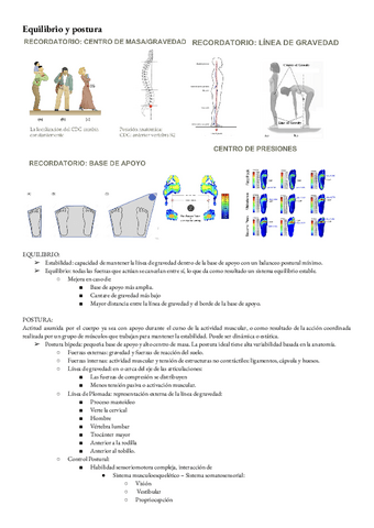 Biomecanica-T-3-Equilibrio-y-postura.pdf