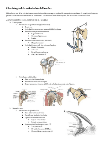 Biomecanica-T1-HOMBRO.pdf