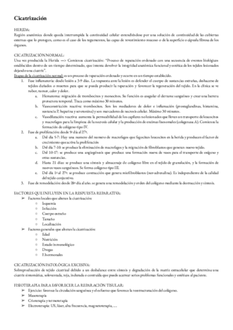 Metodos-termoterapia-T-5-cicatrizacion.pdf