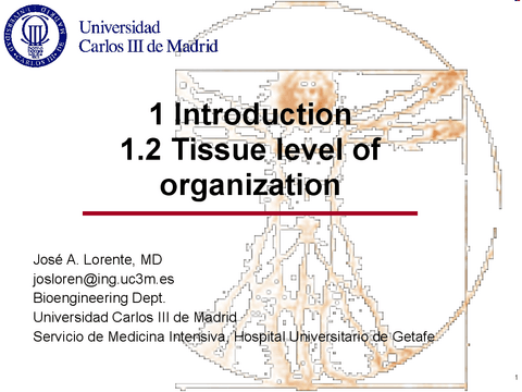 1.2.tissue.apuntado.pdf