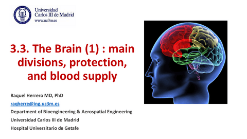 3.3.brain1.apuntado.pdf