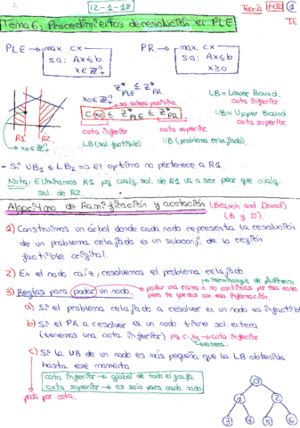MIO TEMA 6 PROC. RESOLUCION P.L.E..pdf