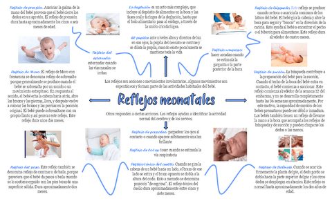 Reflejos-del-neonato.pdf
