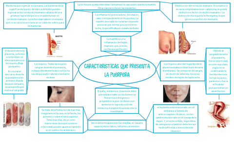 caracteristicas-de-la-puerpera.pdf