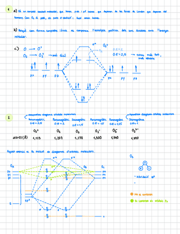 Activitats-tema-7.pdf