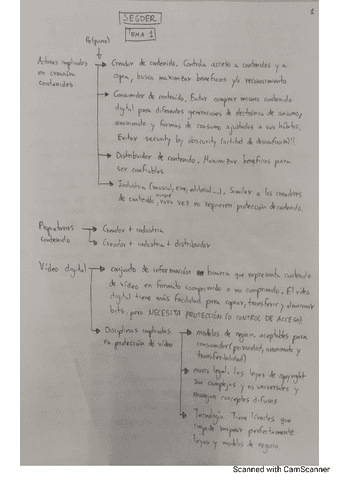 Resumen-Examen-Teoria-1-SEGDER.pdf